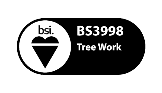 bsi bs3998 tree work logo
